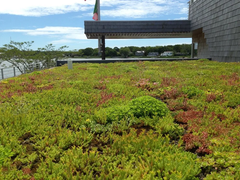 Reliable garden landscaping with custom design across Albertson, NY - Albert's Landscaping