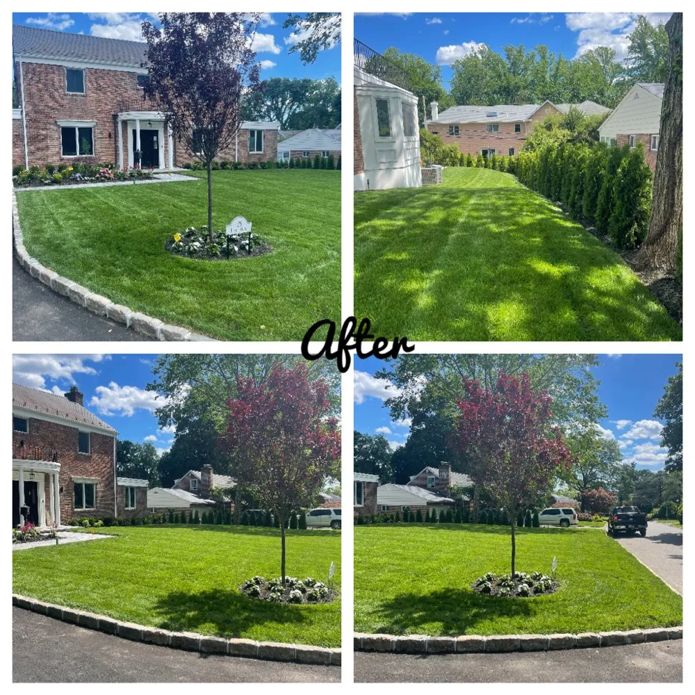 Affordable outdoor landscaping experts serving Albertson, NY - Albert's Landscaping