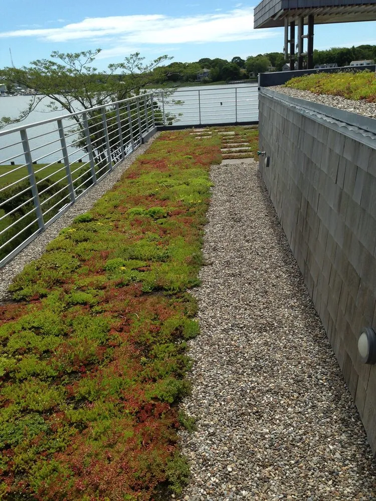 Local yard maintenance for beautiful yards across Albertson, NY - Albert's Landscaping