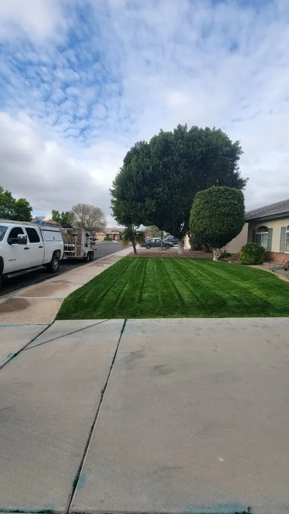 Professional yard maintenance for year-round maintenance across Chandler, AZ - Albert’s Landscaping