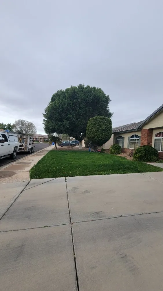 Reliable residential landscaping for residential properties in Chandler, AZ by Albert’s Landscaping