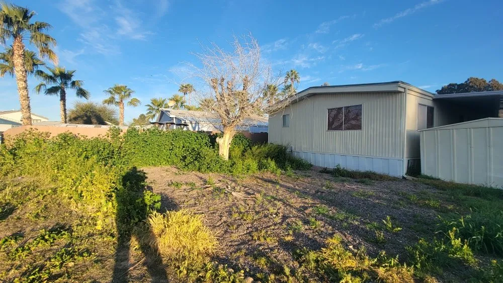 Local lawn care service in Chandler, AZ by Albert’s Landscaping