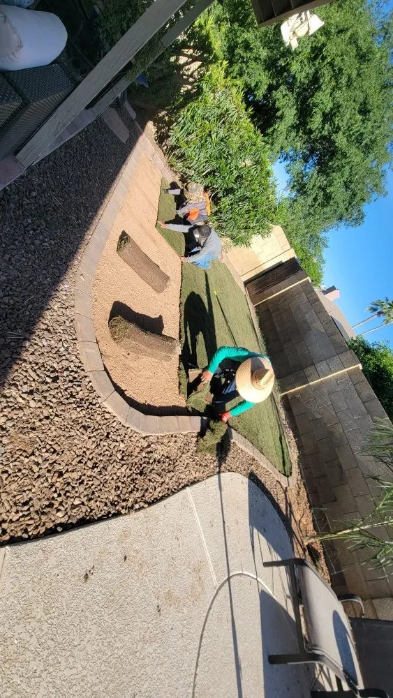 Custom residential landscaping for outdoor upgrades across Chandler, AZ - Albert’s Landscaping