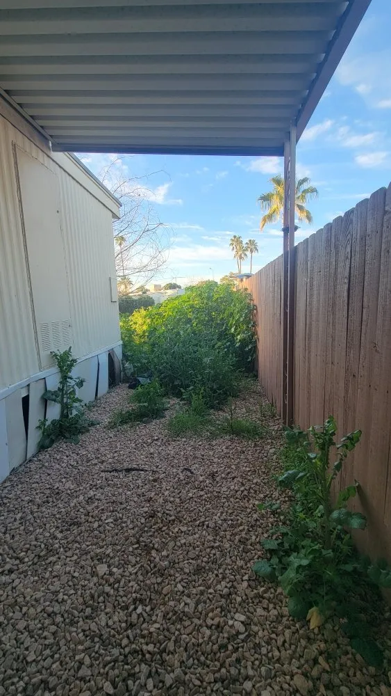 Professional garden landscaping for homes across Chandler, AZ - Albert’s Landscaping