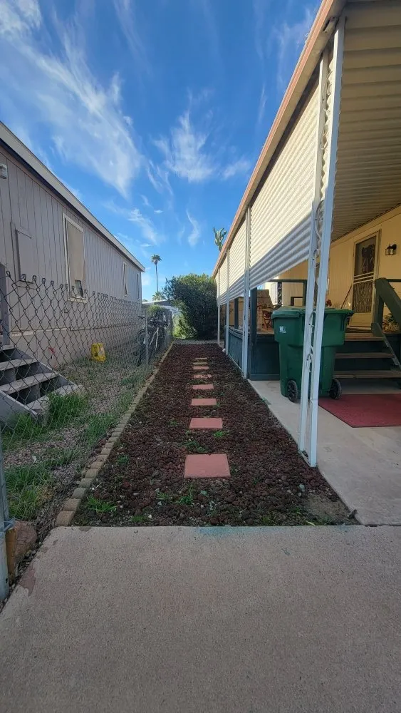 Expert yard maintenance for year-round maintenance in Chandler, AZ by Albert’s Landscaping