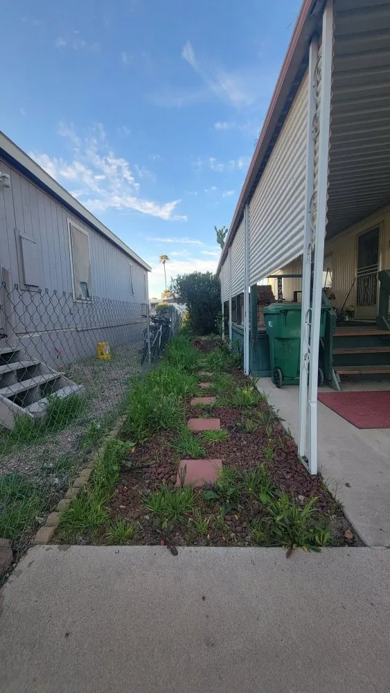 Professional landscape design in Chandler, AZ by Albert’s Landscaping