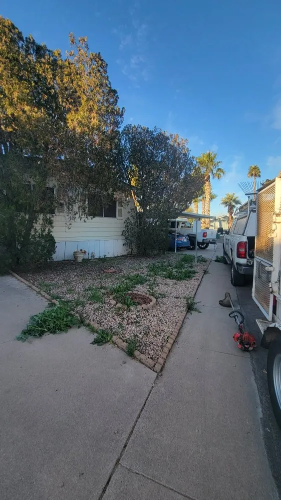 Reliable lawn care service in Chandler, AZ by Albert’s Landscaping