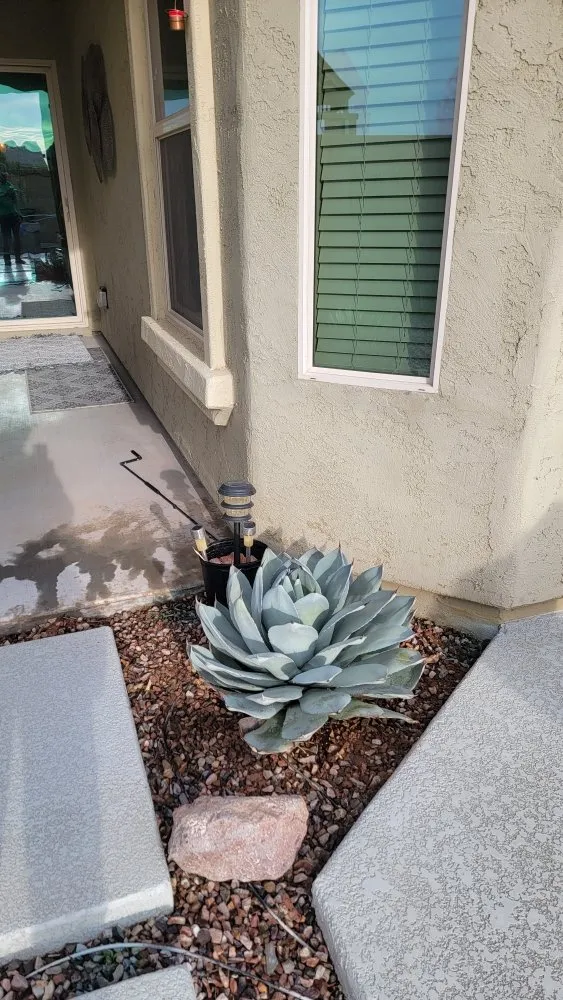 Professional landscape installation with custom design across Chandler, AZ - Albert’s Landscaping