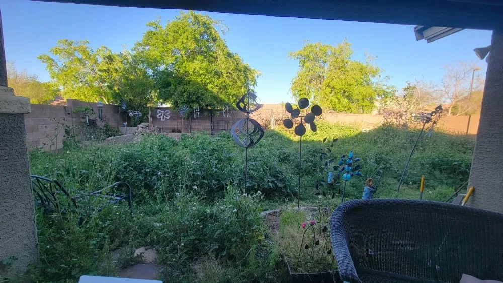 Reliable outdoor landscaping with custom design in Chandler, AZ by Albert’s Landscaping