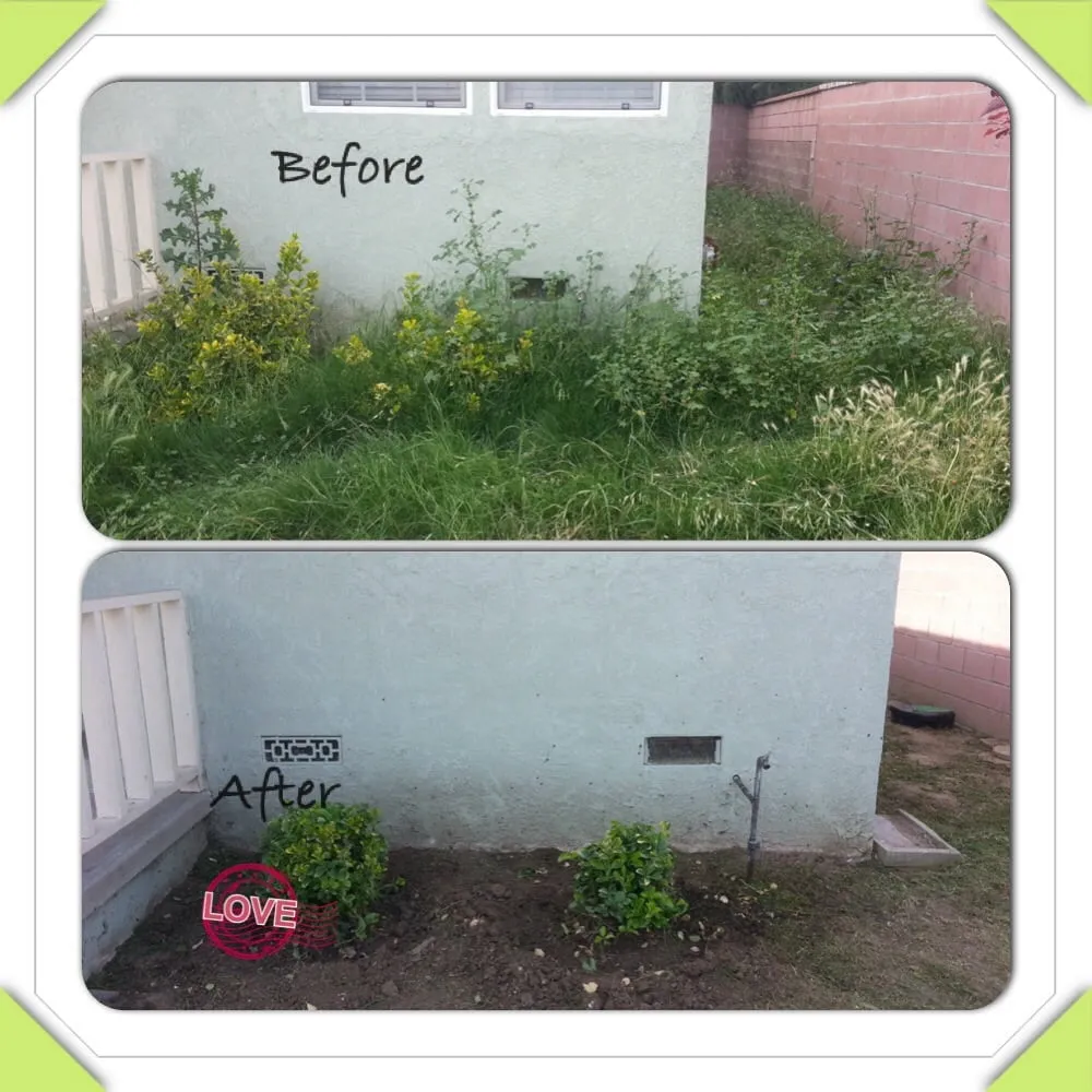 Custom garden landscaping with custom design in Whittier, CA by Alberts Landscaping