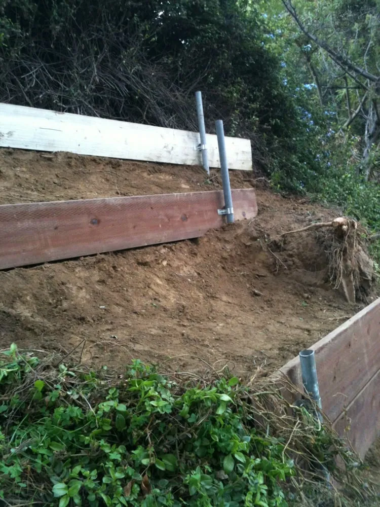 Expert yard cleanup service in Whittier, CA by Alberts Landscaping