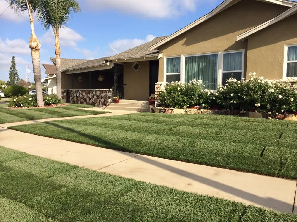 Professional lawn mowing service experts serving Whittier, CA - Alberts Landscaping