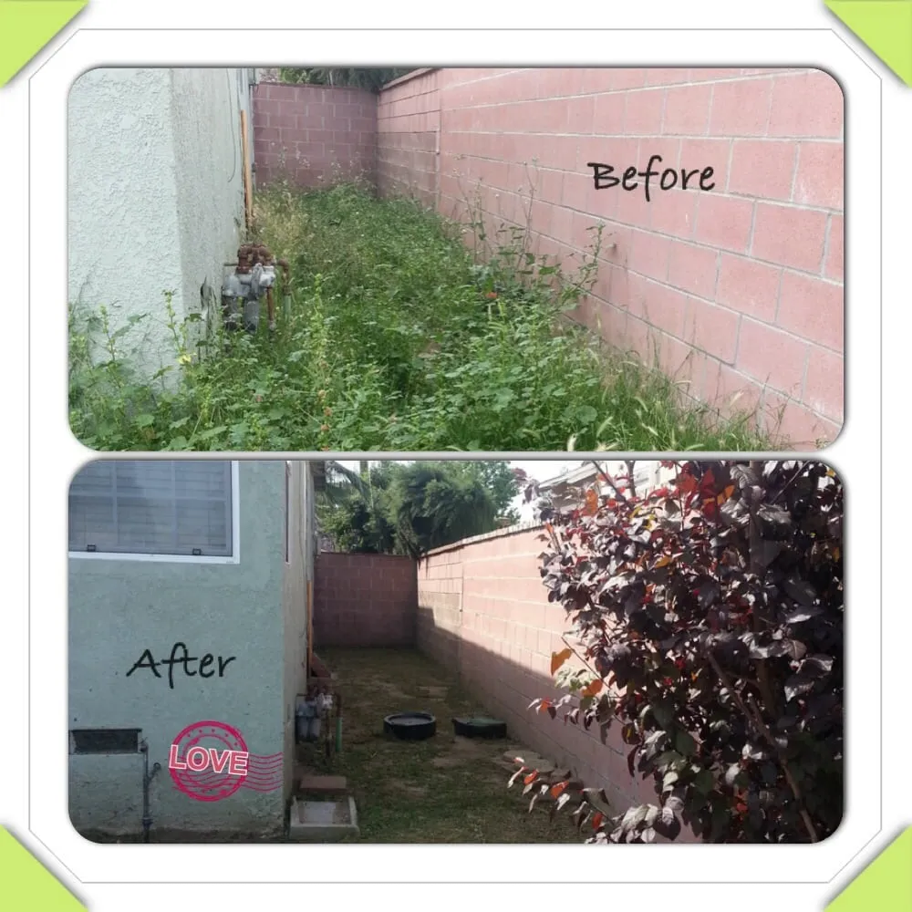 Expert landscaping services in Whittier, CA by Alberts Landscaping