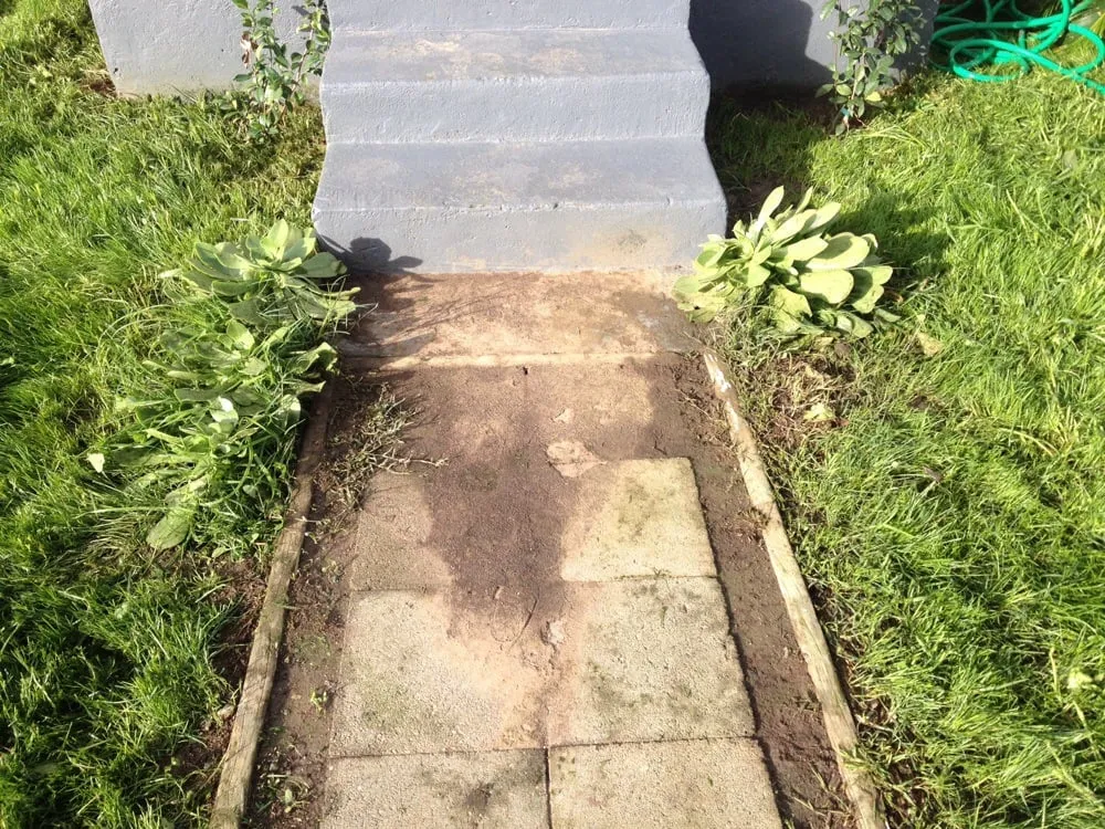 Professional outdoor landscaping in Whittier, CA - Alberts Landscaping