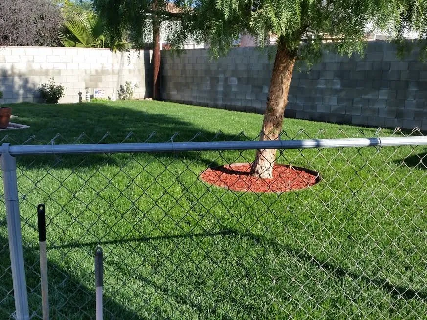 Top-rated yard maintenance for outdoor upgrades in Whittier, CA by Alberts Landscaping