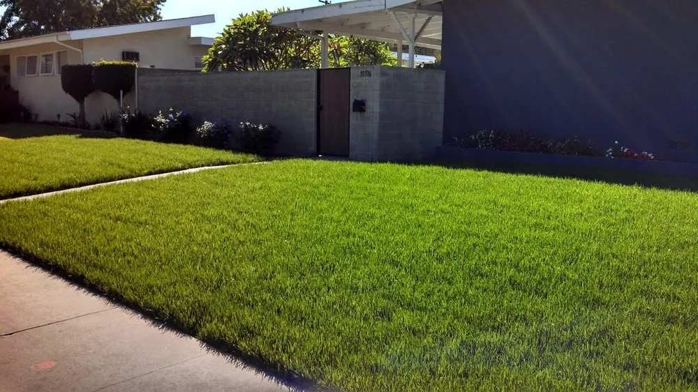 Professional landscape design for homes in Whittier, CA by Alberts Landscaping