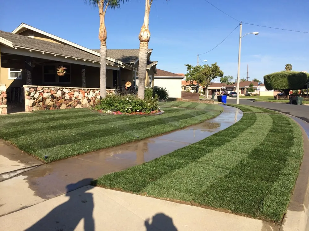 Affordable lawn care service in Whittier, CA by Alberts Landscaping
