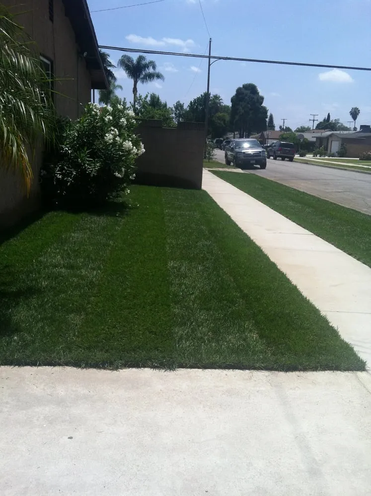 Trusted residential landscaping in Whittier, CA - Alberts Landscaping