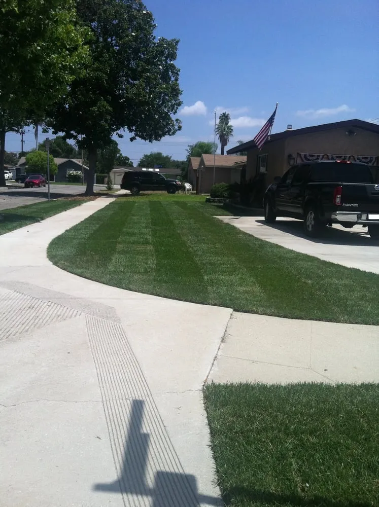 Reliable yard cleanup service experts serving Whittier, CA - Alberts Landscaping