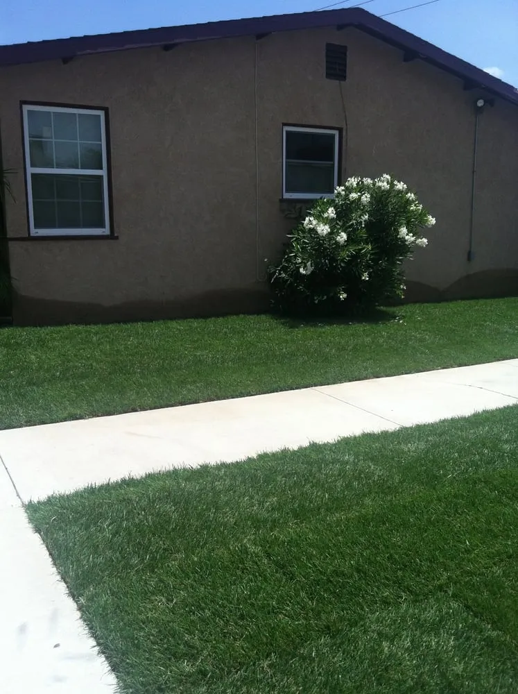 Trusted yard cleanup service for outdoor upgrades in Whittier, CA by Alberts Landscaping