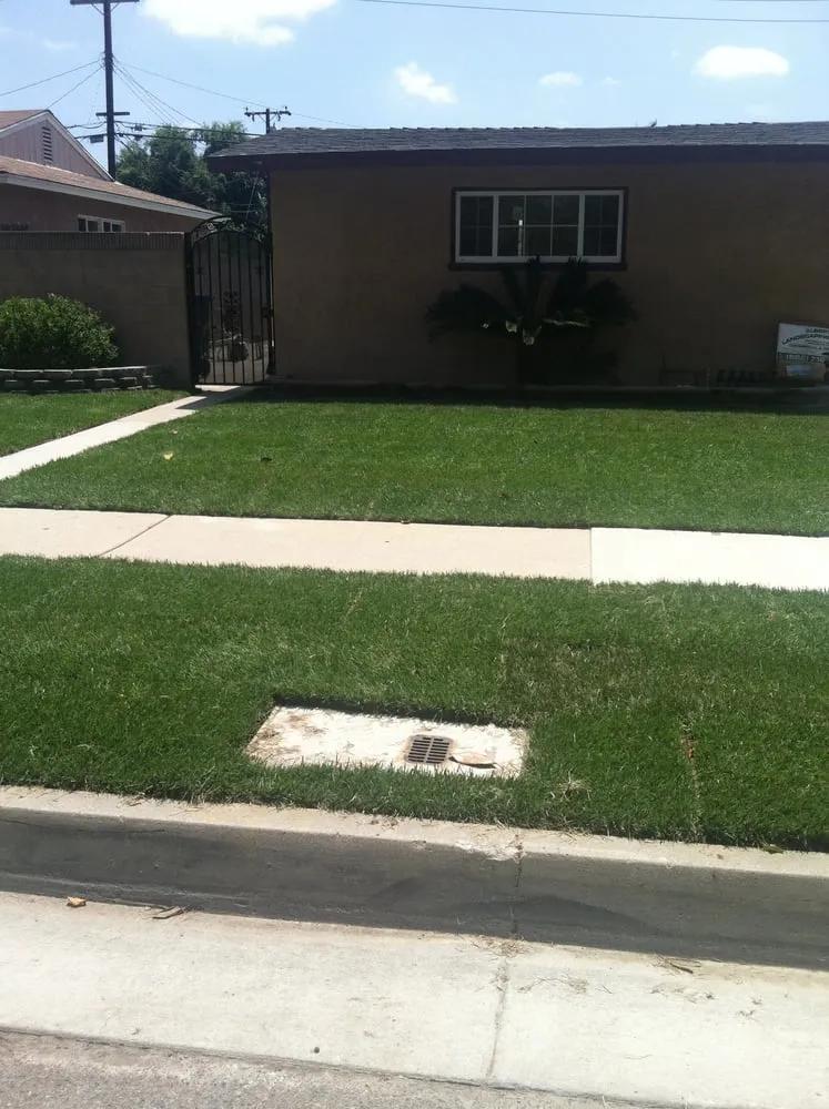 Expert lawn care service for residential properties in Whittier, CA by Alberts Landscaping