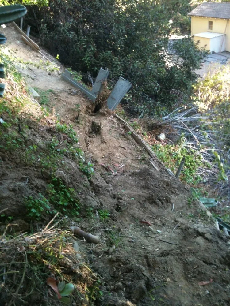 Reliable yard maintenance for year-round maintenance in Whittier, CA by Alberts Landscaping