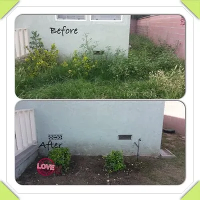 Alberts Landscaping Logo