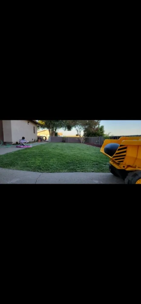 Custom landscape design for beautiful yards across Waterford, CA - Alberts Lawn Mowing