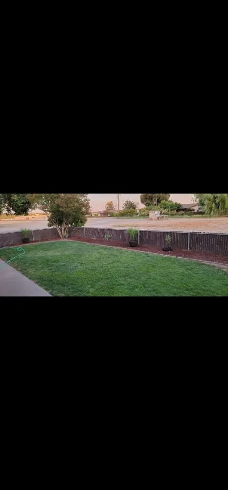 Reliable yard cleanup service for year-round maintenance in Waterford, CA by Alberts Lawn Mowing