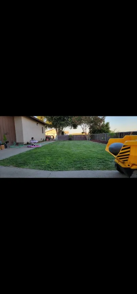 Professional residential landscaping in Waterford, CA - Alberts Lawn Mowing