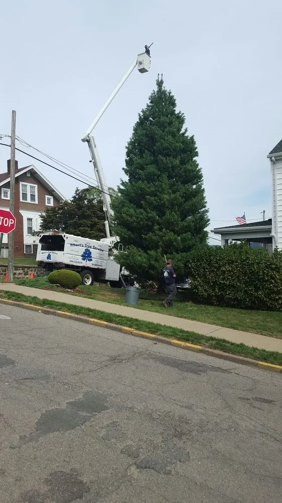 Trusted yard cleanup service in Wheeling, WV by Albert's Tree Service