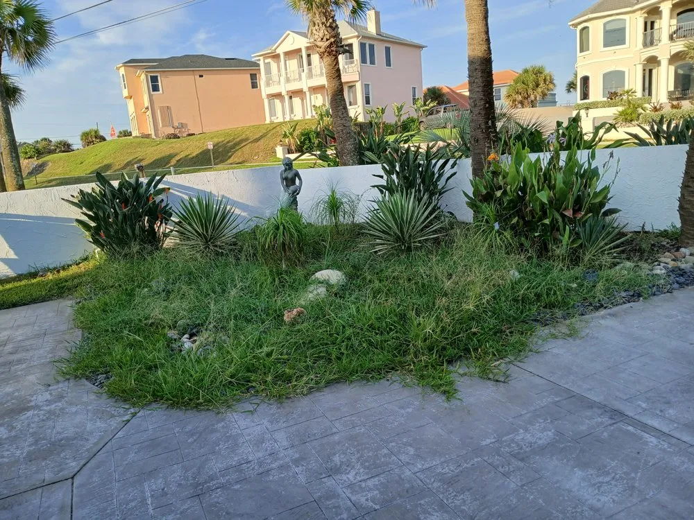 Top-rated landscaping services in Daytona Beach, FL by ALBOE Services