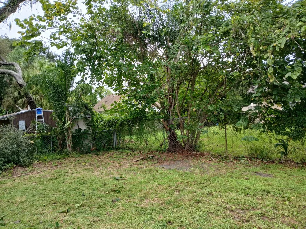 Affordable yard maintenance in Daytona Beach, FL by ALBOE Services