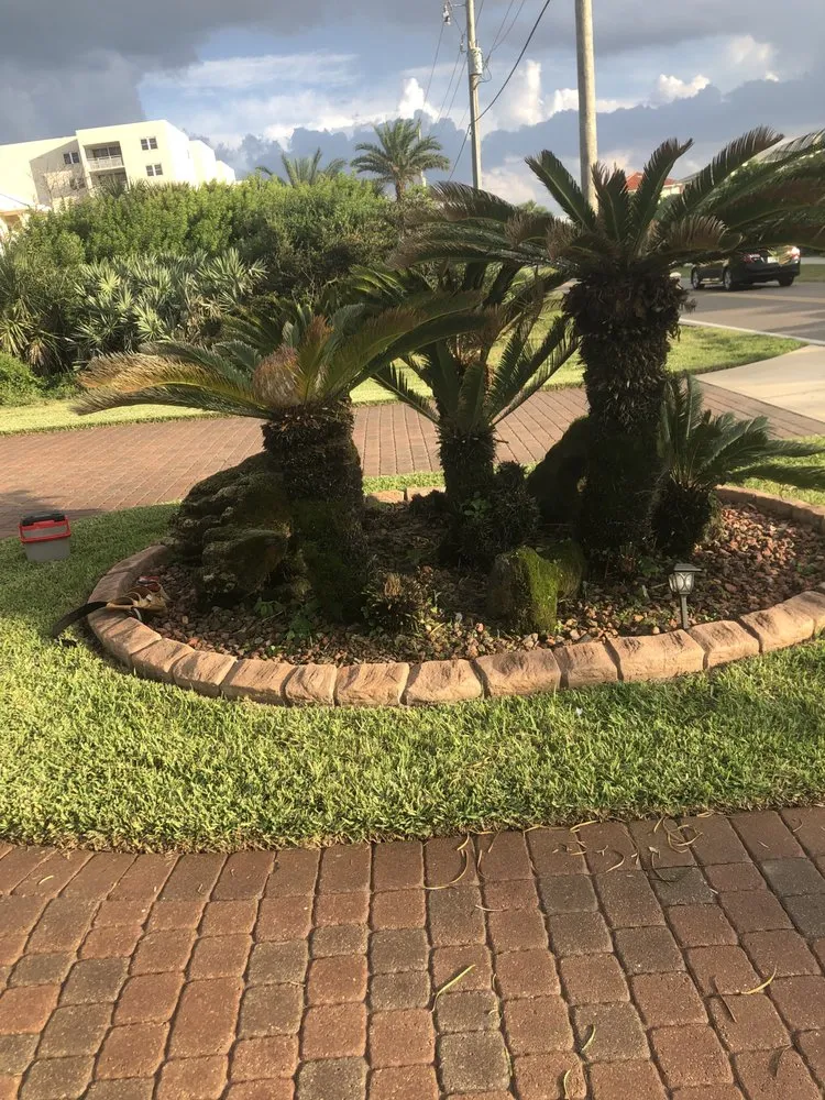 Top-rated yard cleanup service experts serving Daytona Beach, FL - ALBOE Services