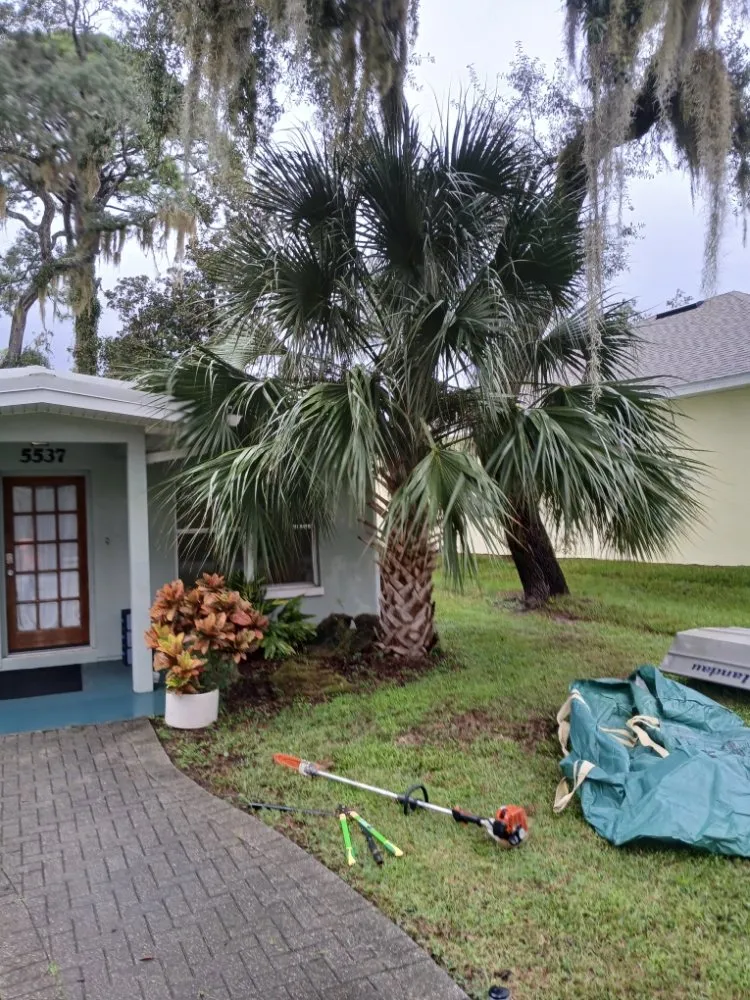 Local yard maintenance with custom design across Daytona Beach, FL - ALBOE Services