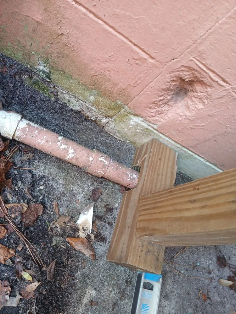 Professional outdoor landscaping with custom design in Daytona Beach, FL by ALBOE Services