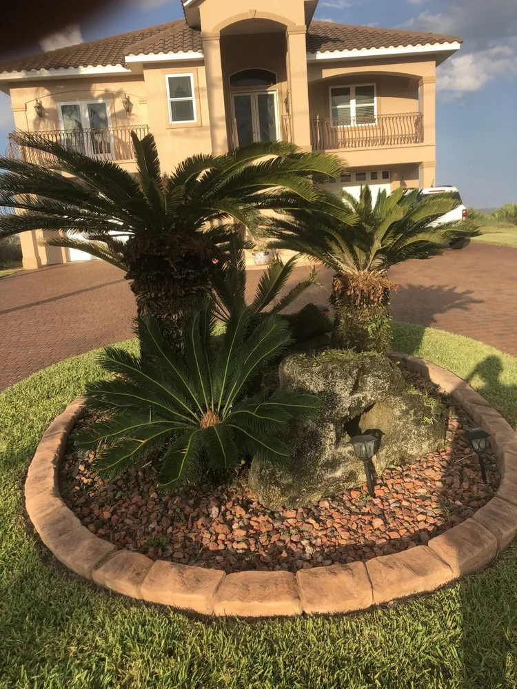 Top-rated lawn mowing service for year-round maintenance across Daytona Beach, FL - ALBOE Services