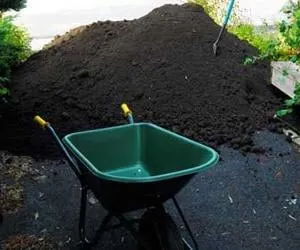 Local lawn care service in Toms River, NJ by Alborn Supply