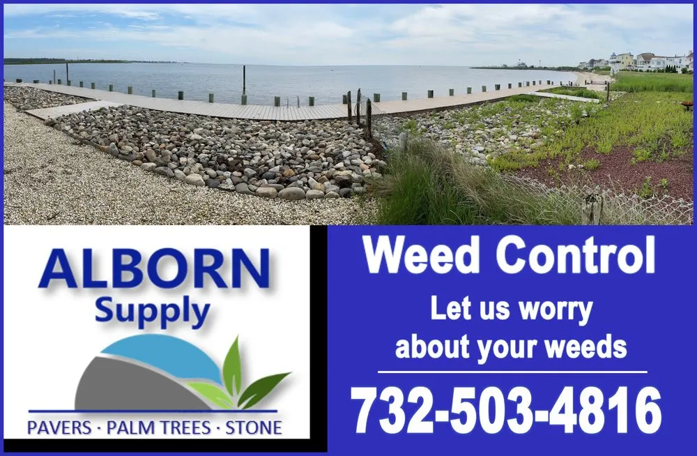 Top-rated landscape design experts serving Toms River, NJ - Alborn Supply