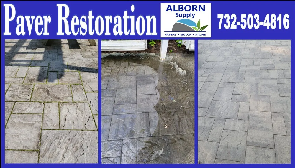 Top-rated lawn care service with custom design in Toms River, NJ by Alborn Supply