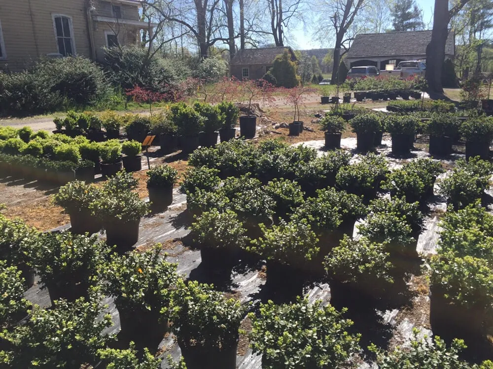 Professional yard cleanup service in Buckingham, PA by Albrecht Nursery and Landscaping