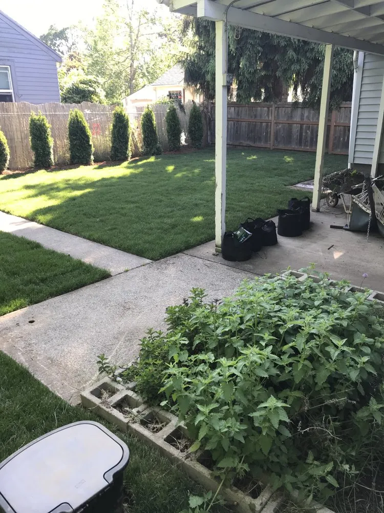 Trusted yard maintenance in SIlverton, OR - Albrich Landscaping