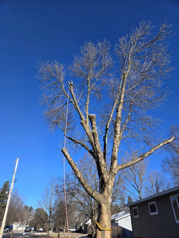 Expert lawn care service in Wausau, WI by Albright Enterprises