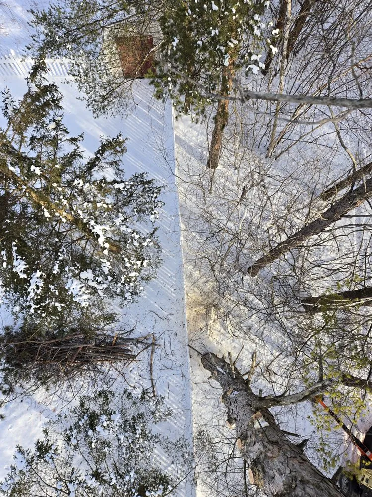 Local lawn mowing service experts serving Wausau, WI - Albright Enterprises