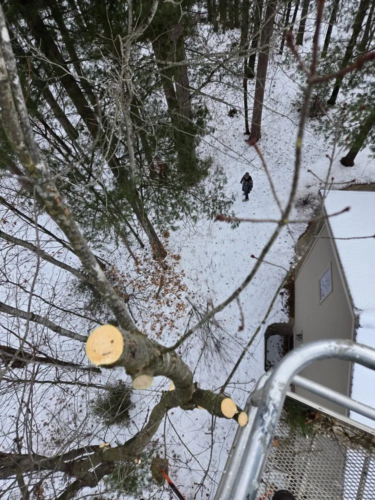 Professional garden landscaping near you in Wausau, WI by Albright Enterprises