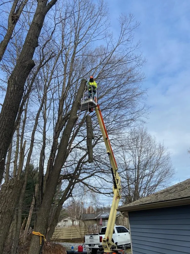 Affordable landscape installation experts serving Wausau, WI - Albright Enterprises