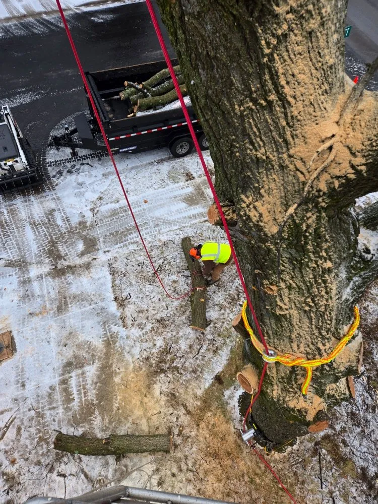 Custom landscape installation in Wausau, WI by Albright Enterprises