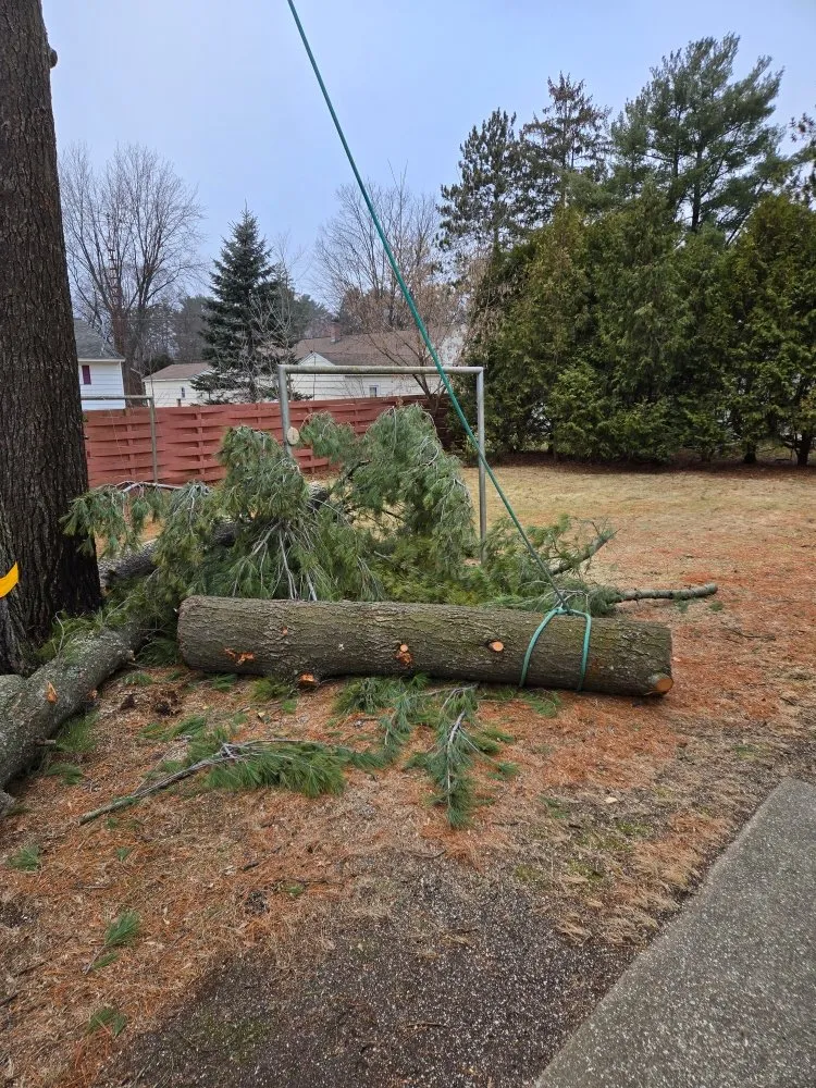 Professional yard cleanup service for residential properties in Wausau, WI by Albright Enterprises