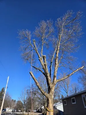 Albright Enterprises