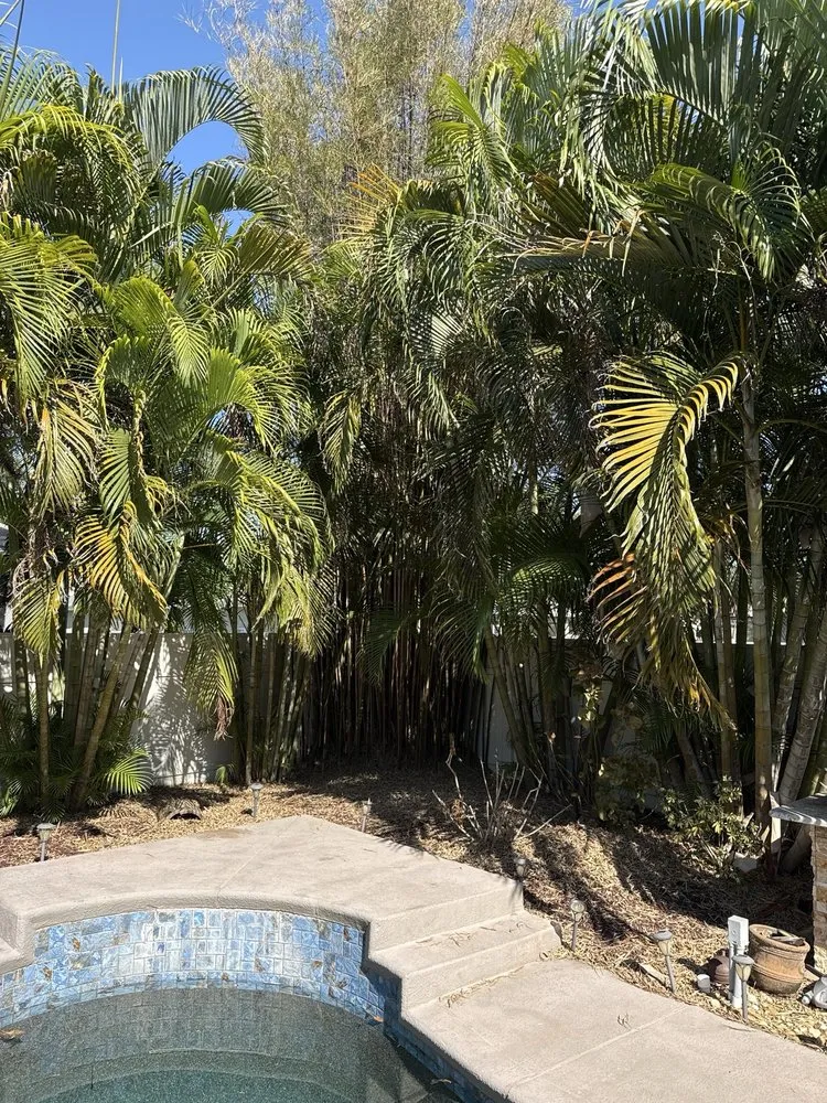 Reliable landscape installation for residential properties across Parrish, FL - Albright Landscaping